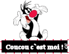 Gif animé coucou c'est moi Gros Minet